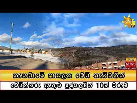 කැනඩාවේ පාසලක වෙඩි තැබීමකින් වෙඩික්කරු ඇතුළු පුද්ගලයින් 10ක් මරුට  - Hiru News