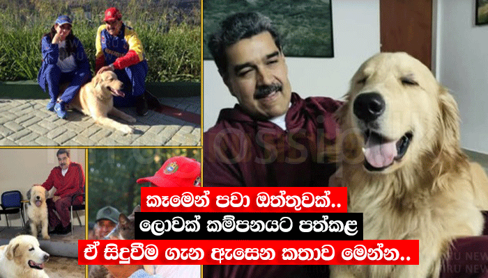 කෑමෙන් පවා ඔත්තුවක්.. ලොවක් කම්පනයට පත්කළ ඒ සිදුවීම ගැන ඇසෙන කතාව මෙන්න..