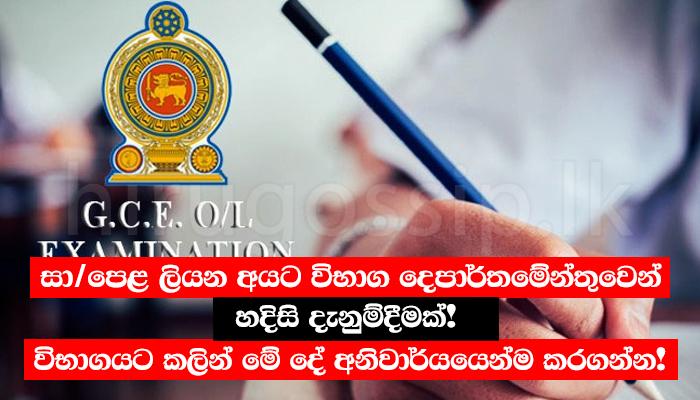 සා/පෙළ ලියන අයට විභාග දෙපාර්තමේන්තුවෙන් හදිසි දැනුම්දීමක්! විභාගයට කලින් මේ දේ අනිවාර්යයෙන්ම කරගන්න!