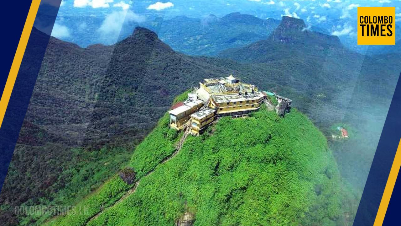 ලෝකයෙන් වඳවී ගිය ගෙඹි විශේෂයක් සිරිපා අඩවියෙන් හමුවෙයි