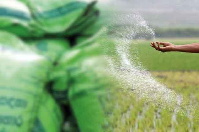 යල කන්නය සඳහා පොහොර ගොවිජන මධ්‍යස්ථාන හරහා පමණයි