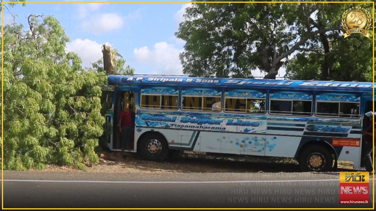 Private bus crash in Weerawila injures 19