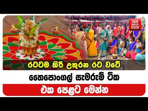 තෛපොංගල් සැමරුම් ටික එක පෙළට මෙන්න