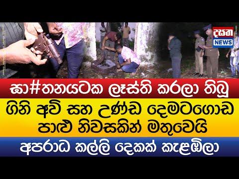 පාළු නිවසකින් මතු වූ ගිනි අවි