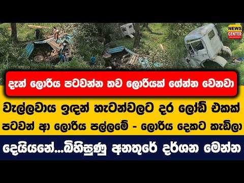 දැන් ලොරිය පටවන්න තව ලොරියක් ගේන්න වෙනවා | වැල්ලවාය ඉඳන් හැටන්වලට දර ලෝඩ් එකක් පටවන් ආ ලොරිය පල්ලමේ