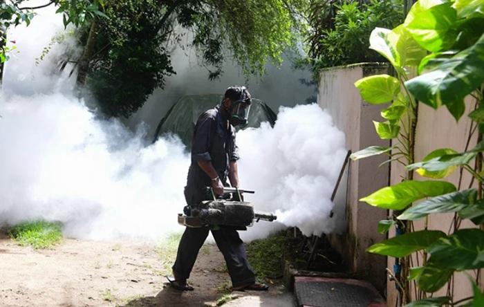 Dengue cases climb to 49,000 in Sri Lanka