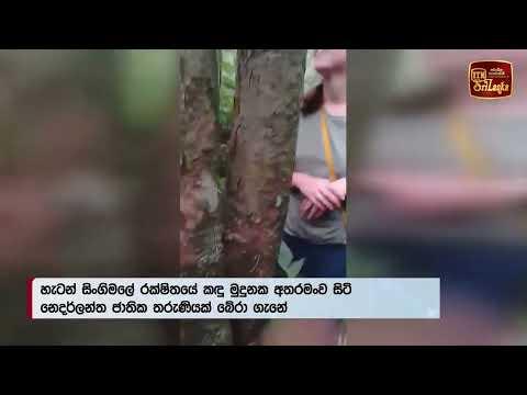හැටන් සිංගිමලේ රක්ෂිතයේ කඳු මුදුනක අතරමංව සිටි නෙදර්ලන්ත ජාතික තරුණියක් බේරා ගැනේ