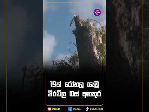 19ක් රෝහල යැවු වීරවිල බස් අනතුර