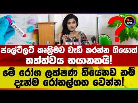 ප්ලේට්ලට් කෘත්‍රිමව වැඩි කරන්න ගියොත් තත්ත්වය භයානකයි! | මේ රෝග ලක්ෂණ තියෙනව නම් දැන්ම රෝහල්ගත වෙන්න