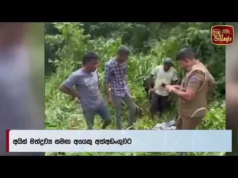 අයිස් මත්ද්‍රව්‍ය සමග අයෙකු අත්අඩංගුවට