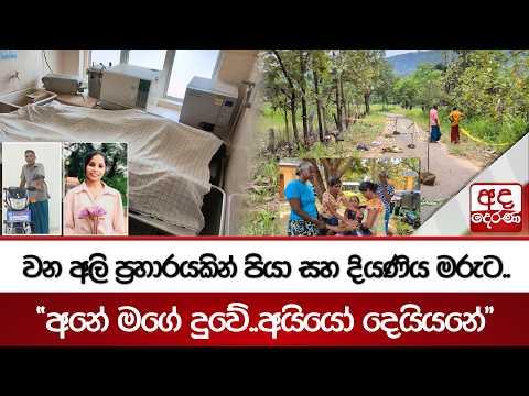 වන අලි ප්‍රහාරයකින් පියා සහ දියණිය මරුට.."අනේ මගේ දුවේ..අයියෝ දෙයියනේ" | Ada Derana