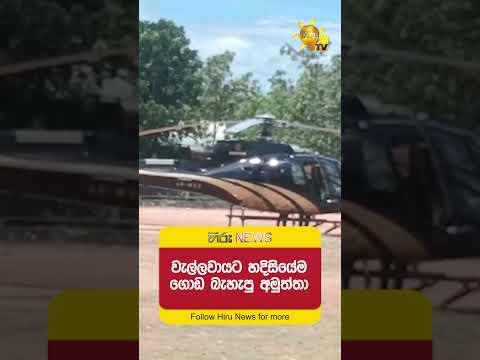 වැල්ලවායට හදිසියේම ගොඩ බැහැපු අමුත්තා  - Hiru News