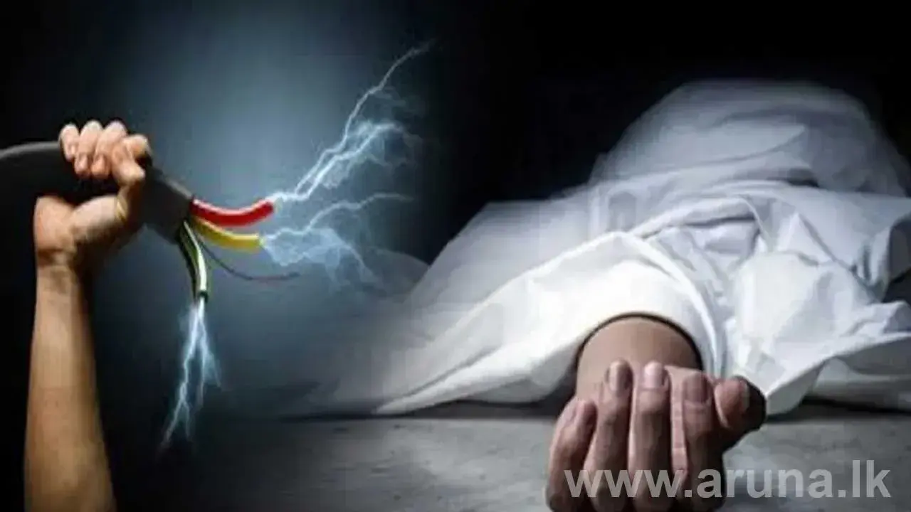 විදුලි සැර වැදී මවක් සහ දියණියක් ජීවිතක්ෂයට