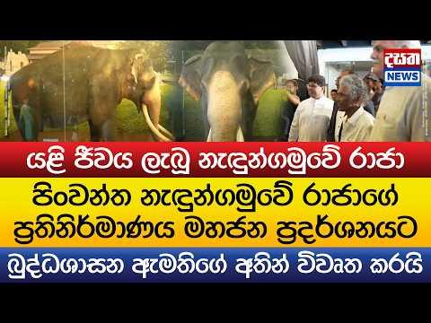 යළි ජීවය ලැබූ නැඳුන්ගමුවේ රාජා