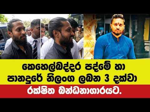 🚨කෙහෙල්බද්දර පද්මේ හා පානදුරේ නිලංග ලබන 3 දක්වා රක්ෂිත බන්ධනාගාරයට.