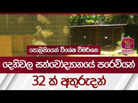 දෙහිවල සත්වෝද්‍යානයේ පරෙවියන් 32ක් අතුරුදන් පොලිසියෙන් විශේෂ විමර්ශන | Rupavahini News