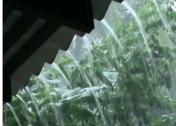 ප්‍රදේශ කිහිපයකට අද තද වැසි (VIDEO)