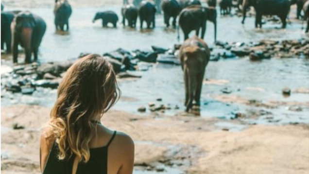 Sri Lanka tourist arrivals rise 6.6-pct in July, with Europeans picking up