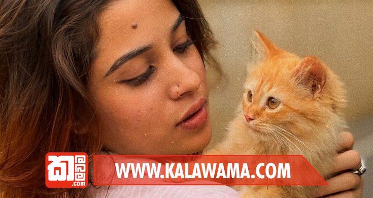 ක්රිකට් ක්රීඩකයෙකුගේ රන් මාලයක් ගත් ජනප්රිය නිලි හර්ෂි රසංගා අත්අඩංගුවට