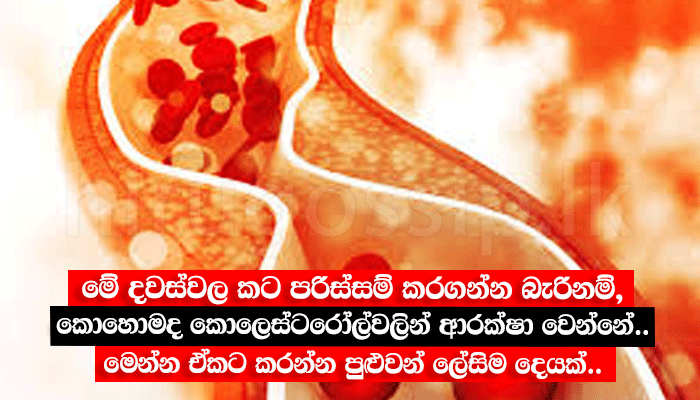 මේ දවස්වල කට පරිස්සම් කරගන්න බැරිනම්, කොහොමද කොලෙස්ටරෝල්වලින් ආරක්ෂා වෙන්නේ.. මෙන්න ඒකට කරන්න පුළුවන් ලේසිම දෙයක්..