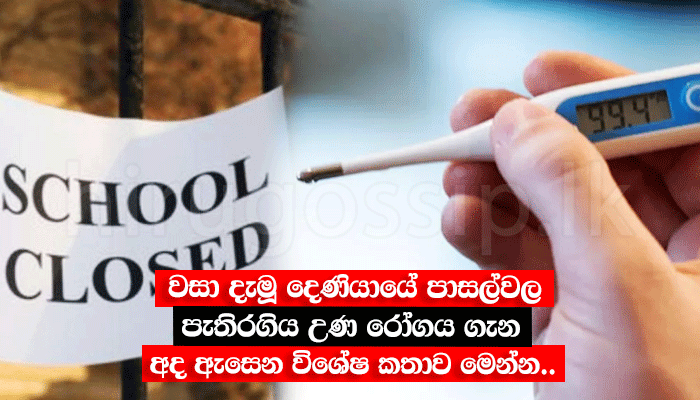 වසා දැමූ දෙණියායේ පාසල්වල පැතිරගිය උණ රෝගය ගැන අද ඇසෙන විශේෂ කතාව මෙන්න..