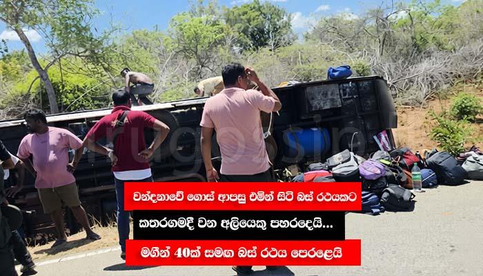 වන්දනාවේ ගොස් ආපසු එමින් සිටි බස් රථයකට කතරගමදී වන අලියෙකු පහරදෙයි... මගීන් 40ක් සමඟ බස් රථය පෙරළෙයි