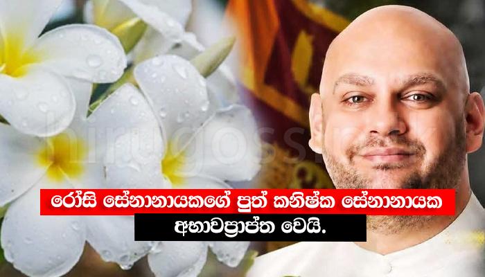 රෝසි සේනානායකගේ පුත් කනිෂ්ක සේනානායක අභාවප්රාප්ත වෙයි.