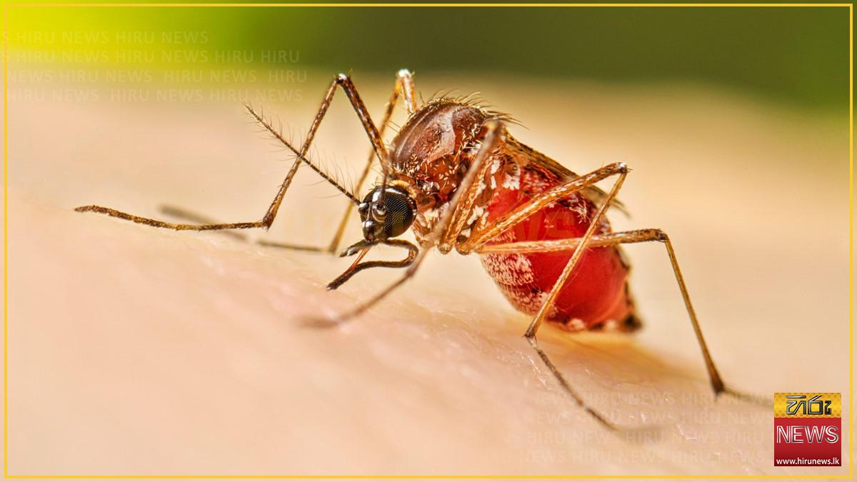 Dengue cases exceed 92,000