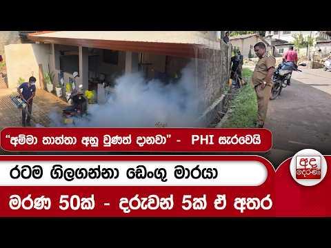 රටම ගිලගන්නා ඩෙංගු මාරයා - මරණ 50ක් - දරුවන් 5ක් ඒ අතර| Ada Derana