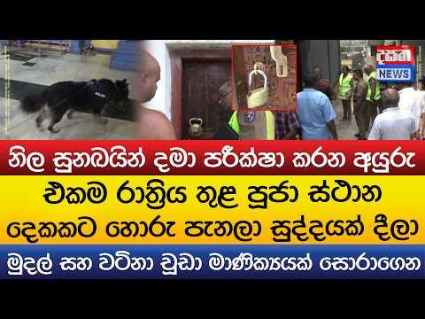 එකම රාත්රිය තුළ පූජා ස්ථාන දෙකකට හොරු පැනලා සුද්දයක් දීලා - නිල සුනඛයින් දමා පරීක්ෂා කරන අයුරු