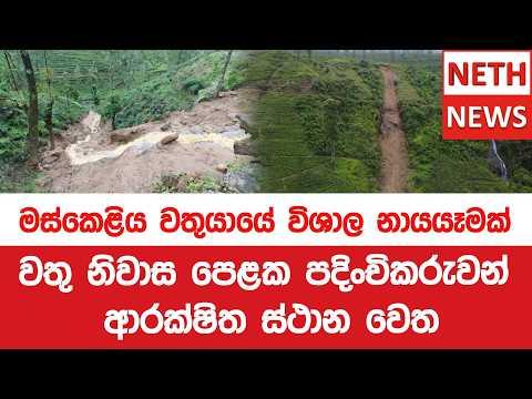 මස්කෙළිය වතුයායේ විශාල නායයෑමක්. වතු නිවාස පෙළක පදිංචිකරුවන් ආරක්ෂිත ස්ථාන වෙත.