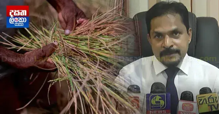 නියඟයෙන් හානිවූ වගාවන්ට කඩිනමින් වන්දි – හෙක්ටෙයාරයකට රුපියල් ලක්ෂයක්