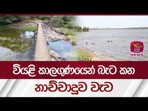 වියළි කාලගුණයෙන් බැට කන නාච්චාදූව වැව | Rupavahini News