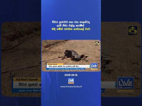 ධීවර ප්රජාවට සහ වන සතුන්ටද දැඩි පීඩා එල්ල කරමින් සිදී යමින් පවතින කන්තලේ වැව