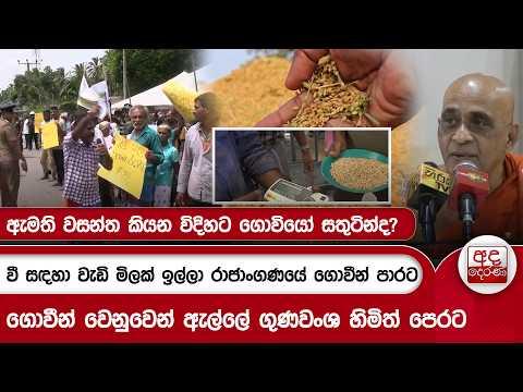 ඇමති වසන්ත කියන විදිහට ගොවියෝ සතුටින්ද? වී සඳහා වැඩි මිලක් ඉල්ලා රාජාංගණයේ ගොවීන් පාරට