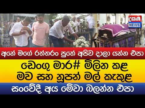 ඩෙංගු මාර# මිලින කළ මව සහ නූපන් මල් කැකුළ