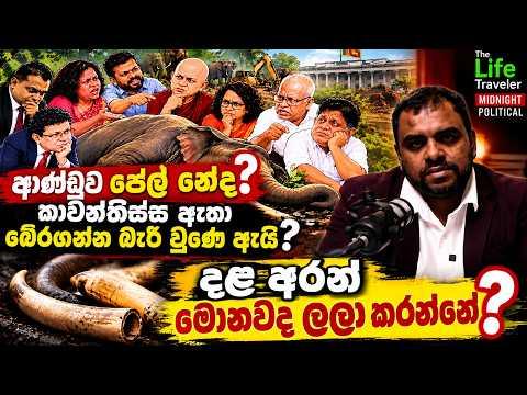 කාවන්තිස්ස ඇතා බේරගන්න බැරි වුණේ ඇයි? දළ අරන් මොනවද ළලා කරන්නේ?