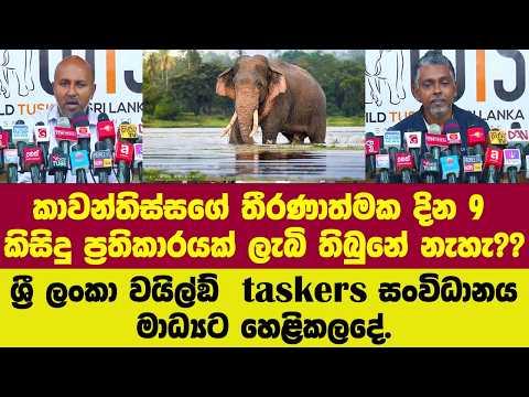 🔴දින 9 කිසිදු ප්රතිකාරයක් ලැබි තිබුනේ නැහැ.ශ්රී ලංකා වයිල්ඞ් taskers සංවිධානය මාධ්යට හෙළිකලදේ.