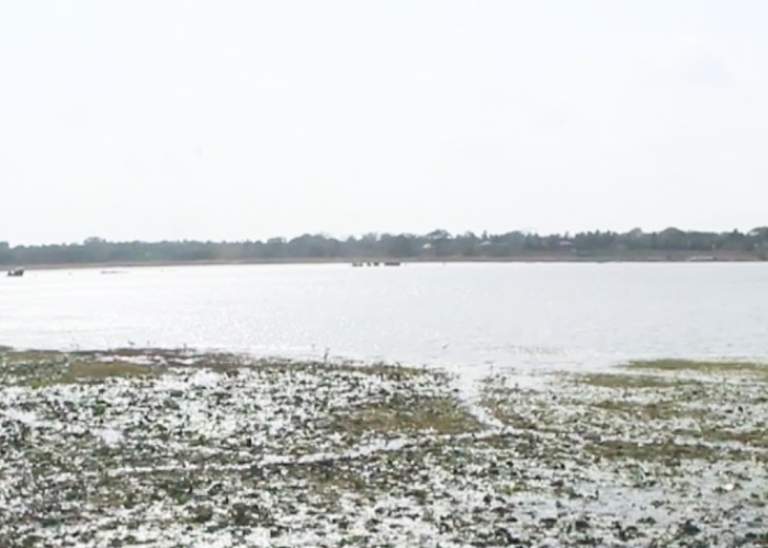 උණුසුම වැඩිවෙයි ගංගාවල ජල මට්ටමත් පහළට (VIDEO)