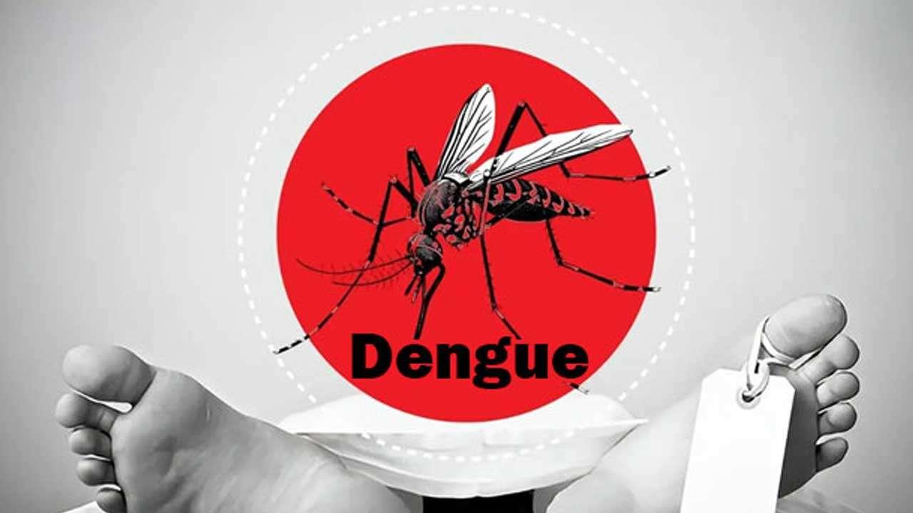 ඩෙංගු මරණ සංඛ්යාව 23ක් දක්වා ඉහළට