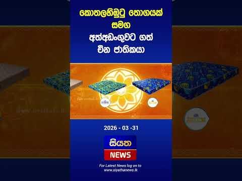 කොතලහිඹුටු තොගයක් සමග අත් අඩංගුවට ගත් චීන ජාතිකයා | Siyatha News