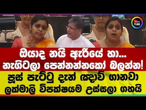 ඔයාද නයි ඇරියේ හා නැගිටලා පෙන්නන්නකෝ බලන්න! පූස් පැට්ටු දැන් ඤාව් ගානවා| ලක්මාලි විපක්ෂයම සමතලා කරයි