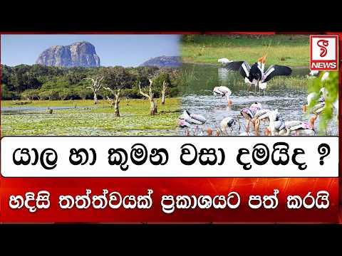 යාල හා කුමන වසා දමයිද ?