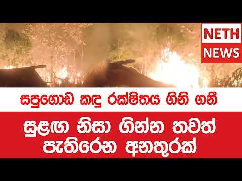 සපුගොඩ කඳු රක්ෂිතය ගිනි ගනී - සුළඟ නිසා ගින්න තවත් පැතිරෙන අනතුරක්