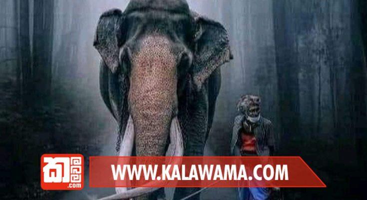 නැදුන්ගමුවේ රාජා යළි වැඩමවයි! හෙටින් පස්සේ දකින්න ලැබෙන ඒ පිංවත් දසුන මෙන්න.. මුළු රටේම අවධානය කොළඹට