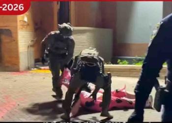 අමෙරිකාවේ ට්රම්ප් විරෝධතා දරුණු අතට! ෆෙඩරල් නිලධාරීන්ටත් ගහන සයිස් එකටම බරපතළ වෙයි!VIDEO I Sri Lanka Latest News