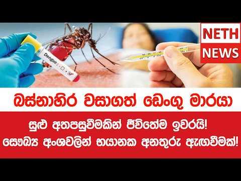 බස්නාහිර වසාගත් ඩෙංගු මාරයා සුළු අතපසුවීමකින් ජීවිතේම ඉවරයි! සෞඛ්ය අංශවලින් භයානක අනතුරු ඇඟවීමක්!